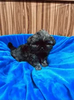 processed/96502fcc-5d4c-436b-9d7e-0e4b5073b762/listing/3c915850-fb9f-43fa-8fde-08da4beb3b54/4fe8687d-a4a8-4aae-8df0-3c24bc50739d