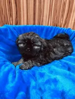 processed/96502fcc-5d4c-436b-9d7e-0e4b5073b762/listing/3c915850-fb9f-43fa-8fde-08da4beb3b54/774e5c5f-60dd-41c5-88b8-07b5b5bba85a