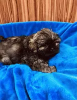 processed/96502fcc-5d4c-436b-9d7e-0e4b5073b762/listing/3c915850-fb9f-43fa-8fde-08da4beb3b54/a1df5770-d6c7-4083-ae11-be0f62490064