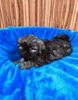 processed/96502fcc-5d4c-436b-9d7e-0e4b5073b762/listing/3c915850-fb9f-43fa-8fde-08da4beb3b54/b3c264bd-7acc-4017-b11b-fb0026cb953e