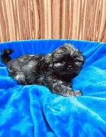 processed/96502fcc-5d4c-436b-9d7e-0e4b5073b762/listing/3c915850-fb9f-43fa-8fde-08da4beb3b54/d9c6a38d-8ade-431a-8fed-02387c2258a2