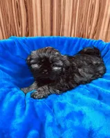 processed/96502fcc-5d4c-436b-9d7e-0e4b5073b762/listing/3c915850-fb9f-43fa-8fde-08da4beb3b54/ddf212ee-b3e1-48bc-82d6-c94d09f3c823