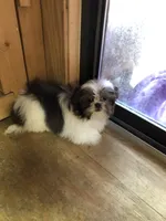 processed/96502fcc-5d4c-436b-9d7e-0e4b5073b762/listing/6005e13c-13f6-4805-b66c-dde81425488d/2f63d45f-dc7a-4d80-875d-bbde31fcbed1