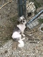 processed/96502fcc-5d4c-436b-9d7e-0e4b5073b762/listing/6005e13c-13f6-4805-b66c-dde81425488d/72ad7061-ce9a-427a-a761-63f6ec3abf11