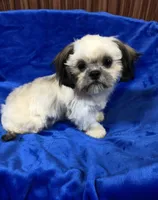 processed/96502fcc-5d4c-436b-9d7e-0e4b5073b762/listing/6dc0867a-6fa6-47b3-ba01-a4a56810600d/04e751a0-d9e0-42fb-b1dd-bccdf8b582bb