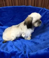 processed/96502fcc-5d4c-436b-9d7e-0e4b5073b762/listing/6dc0867a-6fa6-47b3-ba01-a4a56810600d/105072bf-57b8-443d-aa0c-fdcbe82534d4