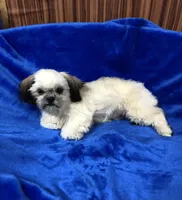 processed/96502fcc-5d4c-436b-9d7e-0e4b5073b762/listing/6dc0867a-6fa6-47b3-ba01-a4a56810600d/10e453b1-d85d-4b60-882b-21ed7378362a