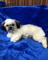 processed/96502fcc-5d4c-436b-9d7e-0e4b5073b762/listing/6dc0867a-6fa6-47b3-ba01-a4a56810600d/56bffe97-ca03-4e80-8e06-210f12e57a51