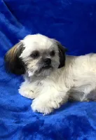 processed/96502fcc-5d4c-436b-9d7e-0e4b5073b762/listing/6dc0867a-6fa6-47b3-ba01-a4a56810600d/768672a1-80c7-4d10-87a1-82920627f3c0