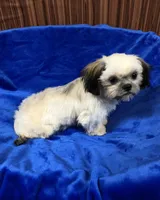 processed/96502fcc-5d4c-436b-9d7e-0e4b5073b762/listing/6dc0867a-6fa6-47b3-ba01-a4a56810600d/817953dc-66ae-4596-98ac-da424520a892