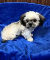 processed/96502fcc-5d4c-436b-9d7e-0e4b5073b762/listing/6dc0867a-6fa6-47b3-ba01-a4a56810600d/9529af39-3c58-43ca-b8a7-6874d6b1cdc3