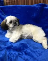 processed/96502fcc-5d4c-436b-9d7e-0e4b5073b762/listing/6dc0867a-6fa6-47b3-ba01-a4a56810600d/e4c04a1d-99ac-4498-aad3-973db5b71b16