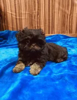 processed/96502fcc-5d4c-436b-9d7e-0e4b5073b762/listing/b91a8bfb-4f89-465b-a45e-3f50eb410fe9/0c056178-86a3-4c21-943f-b160bb91a819