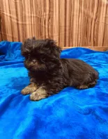 processed/96502fcc-5d4c-436b-9d7e-0e4b5073b762/listing/b91a8bfb-4f89-465b-a45e-3f50eb410fe9/4ae8ec4e-e444-4d15-8645-5f0ef1397d08