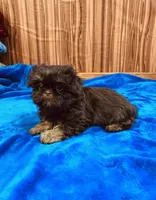 processed/96502fcc-5d4c-436b-9d7e-0e4b5073b762/listing/b91a8bfb-4f89-465b-a45e-3f50eb410fe9/7f59698b-cc48-4ae4-ab6a-74bbdb1199c3