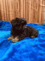 processed/96502fcc-5d4c-436b-9d7e-0e4b5073b762/listing/b91a8bfb-4f89-465b-a45e-3f50eb410fe9/8838e7d4-b9a7-4f51-845b-888411804799