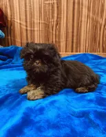 processed/96502fcc-5d4c-436b-9d7e-0e4b5073b762/listing/b91a8bfb-4f89-465b-a45e-3f50eb410fe9/906a4593-8efa-4c83-8ec3-197d9e83829e