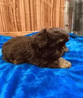 processed/96502fcc-5d4c-436b-9d7e-0e4b5073b762/listing/b91a8bfb-4f89-465b-a45e-3f50eb410fe9/adebedf4-8422-4fa3-9a8d-37aa531d2c90