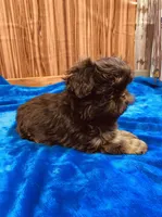 processed/96502fcc-5d4c-436b-9d7e-0e4b5073b762/listing/b91a8bfb-4f89-465b-a45e-3f50eb410fe9/b59f49b5-8a55-4dfa-804e-82d2f690f45c