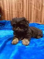 processed/96502fcc-5d4c-436b-9d7e-0e4b5073b762/listing/b91a8bfb-4f89-465b-a45e-3f50eb410fe9/dbbd461c-3612-4d13-bf24-eaa5d82301c3