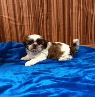 processed/96502fcc-5d4c-436b-9d7e-0e4b5073b762/listing/fea82331-107c-4552-823c-5028b16b1750/a3e20d81-485d-40b8-99cf-61348ed94b5a