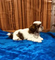 processed/96502fcc-5d4c-436b-9d7e-0e4b5073b762/listing/fea82331-107c-4552-823c-5028b16b1750/a8db7188-e0d9-49e2-97b0-08a6e3c1575e