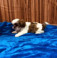 processed/96502fcc-5d4c-436b-9d7e-0e4b5073b762/listing/fea82331-107c-4552-823c-5028b16b1750/d09c3309-9093-4e75-ba93-53d7eed2ae67