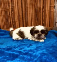 processed/96502fcc-5d4c-436b-9d7e-0e4b5073b762/listing/fea82331-107c-4552-823c-5028b16b1750/e17f4938-29c4-4b08-ba27-007f11b0b19e