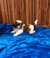 processed/96502fcc-5d4c-436b-9d7e-0e4b5073b762/listing/fea82331-107c-4552-823c-5028b16b1750/f853b834-5636-4431-a29a-24d5eb3bbcfe