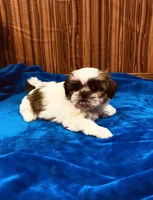 processed/96502fcc-5d4c-436b-9d7e-0e4b5073b762/listing/fea82331-107c-4552-823c-5028b16b1750/fa85c43b-f6f8-48cc-98be-3cad01064164