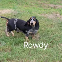 processed/965ed0e8-8b9b-4d82-ba53-4b578575d412/facility/4ca4d32f-78ac-4467-a31c-933798afda47