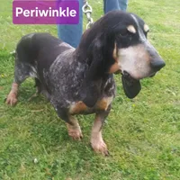 processed/965ed0e8-8b9b-4d82-ba53-4b578575d412/facility/c3b94d70-301d-4c4a-94dd-9ebc7f48cec7