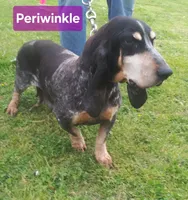 processed/965ed0e8-8b9b-4d82-ba53-4b578575d412/facility/c3b94d70-301d-4c4a-94dd-9ebc7f48cec7