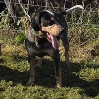 processed/965ed0e8-8b9b-4d82-ba53-4b578575d412/facility/d3847beb-7962-4f4f-815d-2e1b1f53d07a