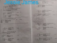 M7750, a male Bluetick Coonhound for sale in Saltillo, TX – Photo 7 of 8