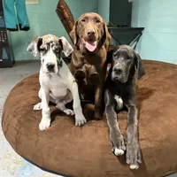 processed/965ff299-667a-4c45-9f2f-470394d1ee67/facility/30df4c4f-9f44-44c0-a7ab-1b2c6ac42f26