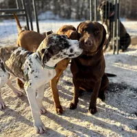 processed/965ff299-667a-4c45-9f2f-470394d1ee67/facility/a042840c-cdf2-4c84-a8d0-f92934c22b64