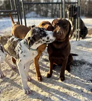 processed/965ff299-667a-4c45-9f2f-470394d1ee67/facility/a042840c-cdf2-4c84-a8d0-f92934c22b64