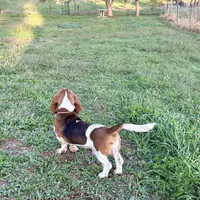 processed/965ff299-667a-4c45-9f2f-470394d1ee67/facility/a6f3c0c1-9c9f-4758-a7e2-b940ea630f5f