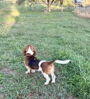 processed/965ff299-667a-4c45-9f2f-470394d1ee67/facility/a6f3c0c1-9c9f-4758-a7e2-b940ea630f5f