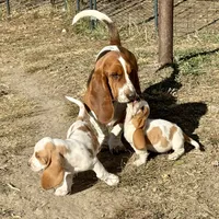 processed/965ff299-667a-4c45-9f2f-470394d1ee67/facility/b9db0e61-88df-426d-b1a9-ed281bb14203