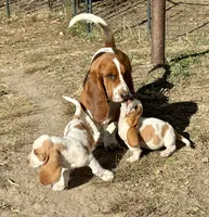 processed/965ff299-667a-4c45-9f2f-470394d1ee67/facility/b9db0e61-88df-426d-b1a9-ed281bb14203