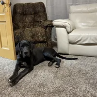 processed/965ff299-667a-4c45-9f2f-470394d1ee67/facility/ec239695-9b1e-4593-af96-b5cc87d98fc0