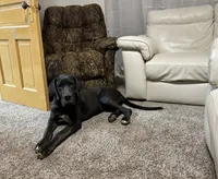 processed/965ff299-667a-4c45-9f2f-470394d1ee67/facility/ec239695-9b1e-4593-af96-b5cc87d98fc0