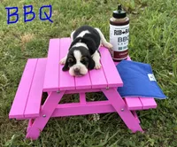 BBQ, a male Basset Hound for sale in Leigh, NE – 1 of 8