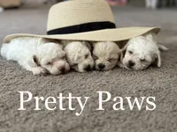 processed/966886b8-1d13-4431-ab60-b3ca7d6444fe/facility/0c0c99c1-c090-481c-9a5b-aeeeecce1032