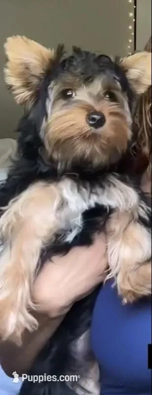 processed/966886b8-1d13-4431-ab60-b3ca7d6444fe/facility/38a1b0bd-f3b3-4207-850a-bca717e399e9