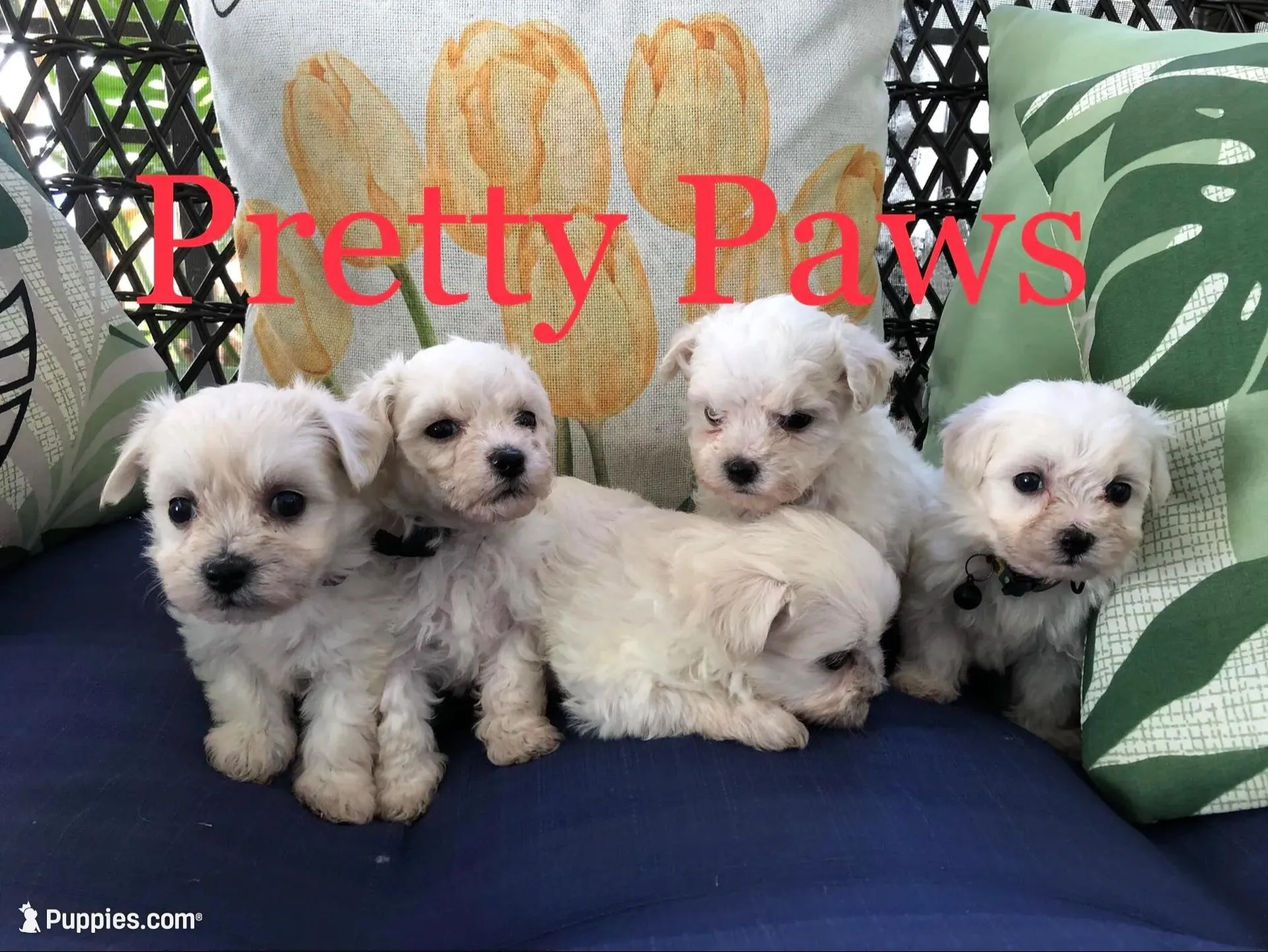 processed/966886b8-1d13-4431-ab60-b3ca7d6444fe/facility/46357fd4-0fa0-4a46-b304-1967710cf014