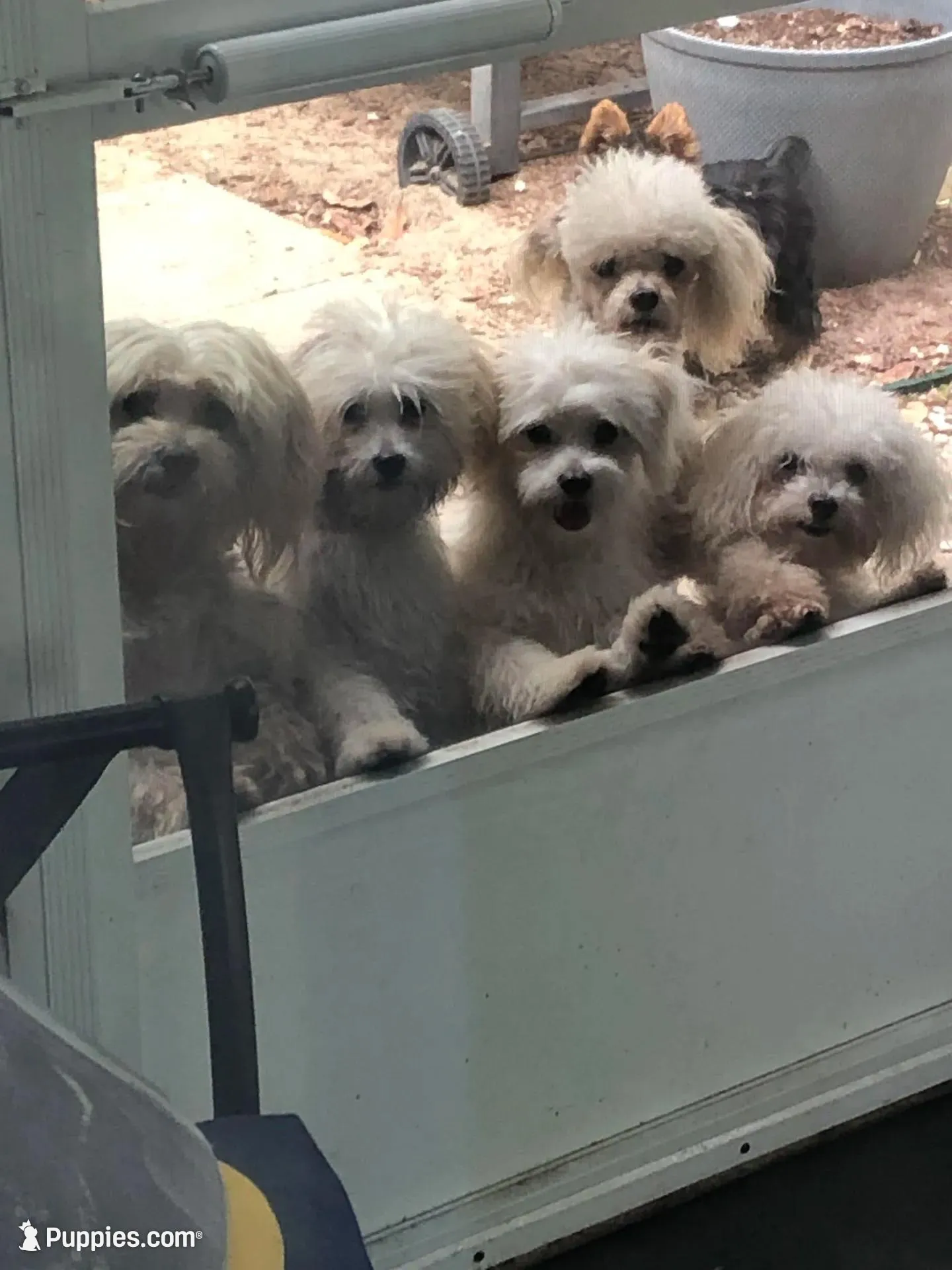 processed/966886b8-1d13-4431-ab60-b3ca7d6444fe/facility/7896c1bc-3af1-45a0-9b23-f1674798270c