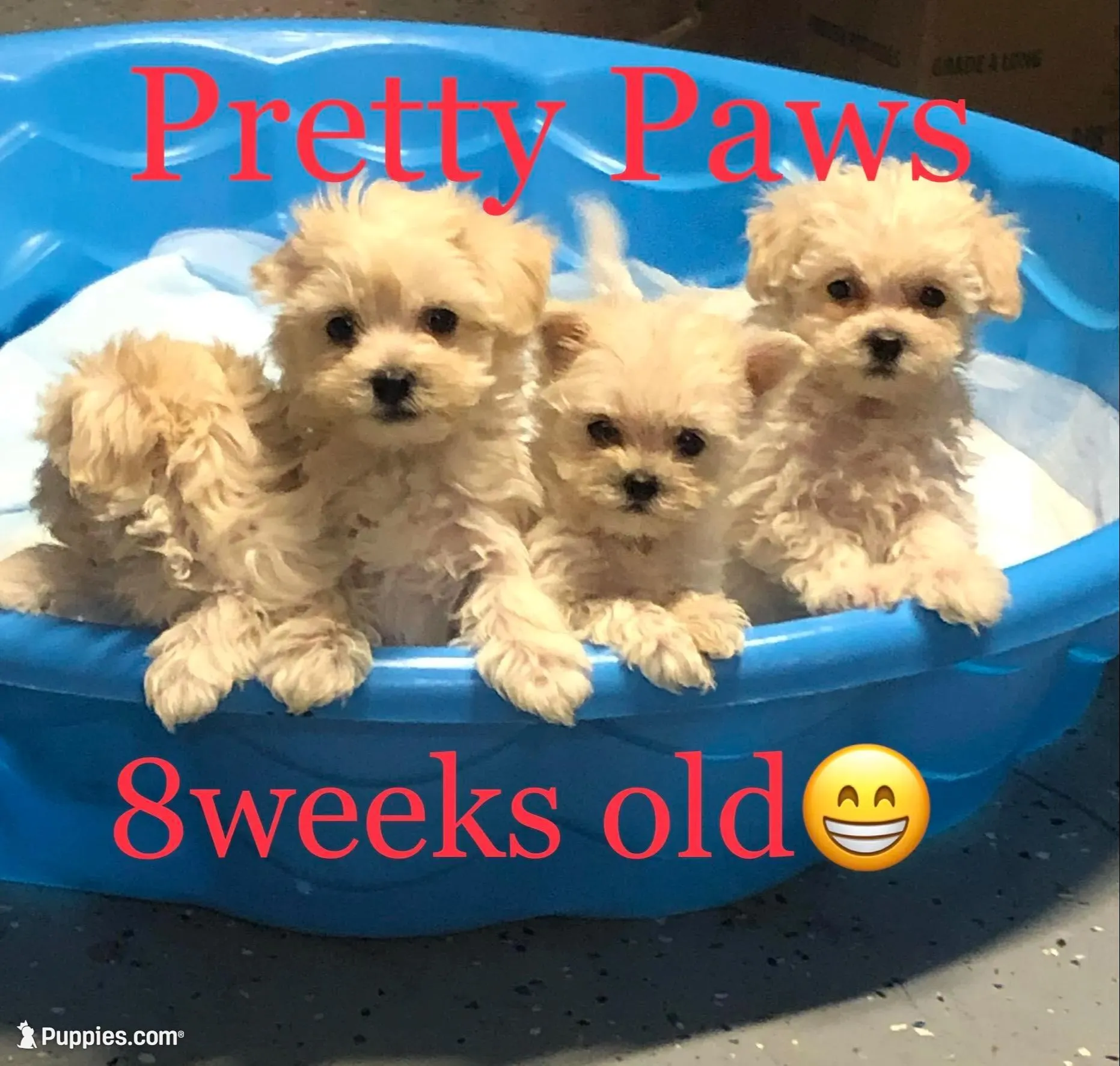 processed/966886b8-1d13-4431-ab60-b3ca7d6444fe/facility/87517a42-6751-4692-9969-1b8a91b37e14